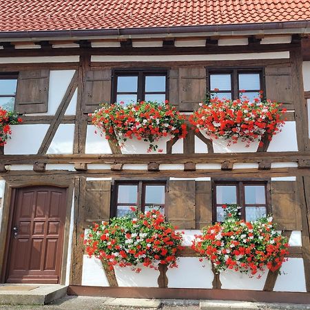 Ferienwohnung Hiemer Bad Grönenbach Exteriör bild
